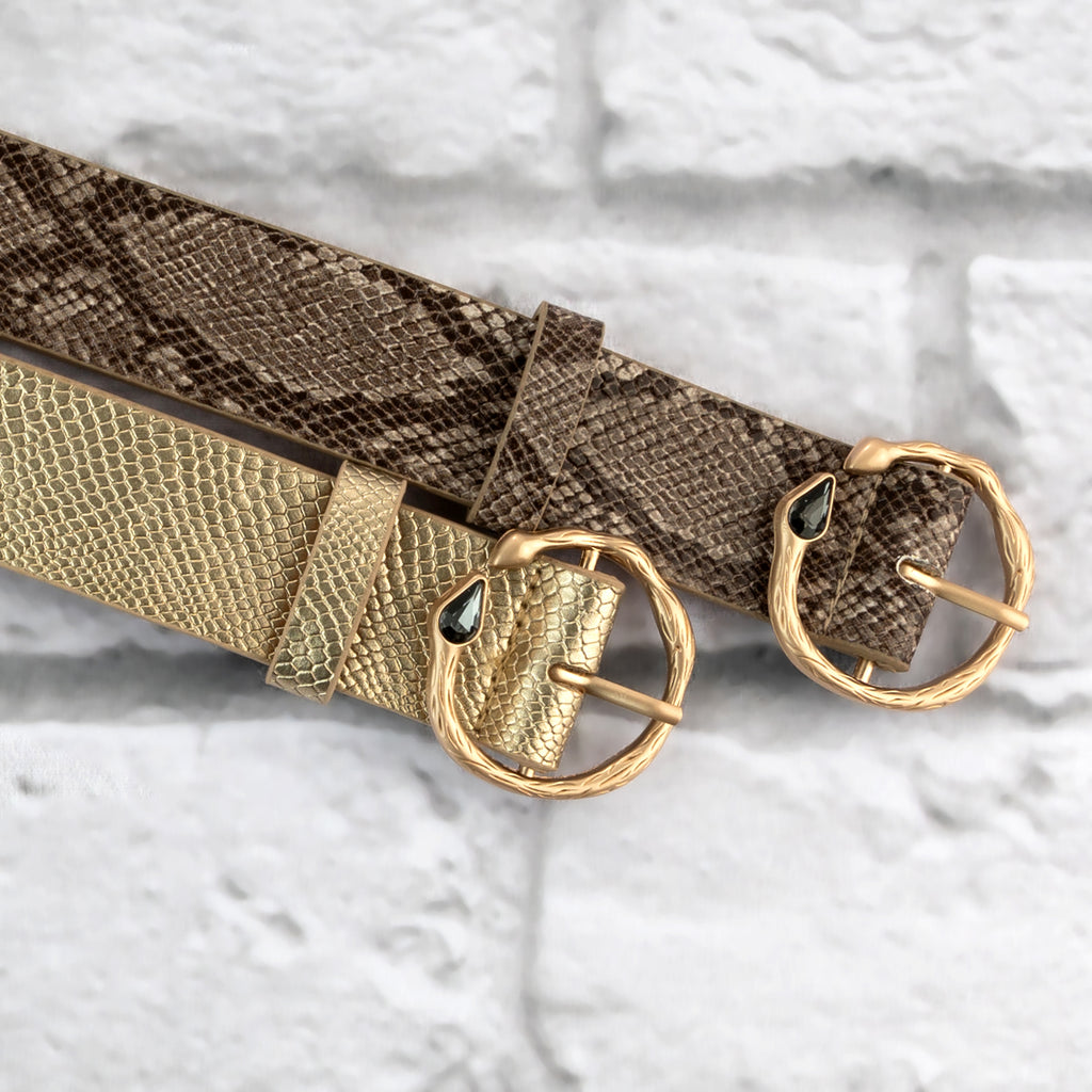 Women\'s Black Snakeskin Elastic Waist Belt with Gold Double-Ring Buckle Buy Black Snakeskin Embossed Belt With Gold Buckle 2.5 Cm  main image 3